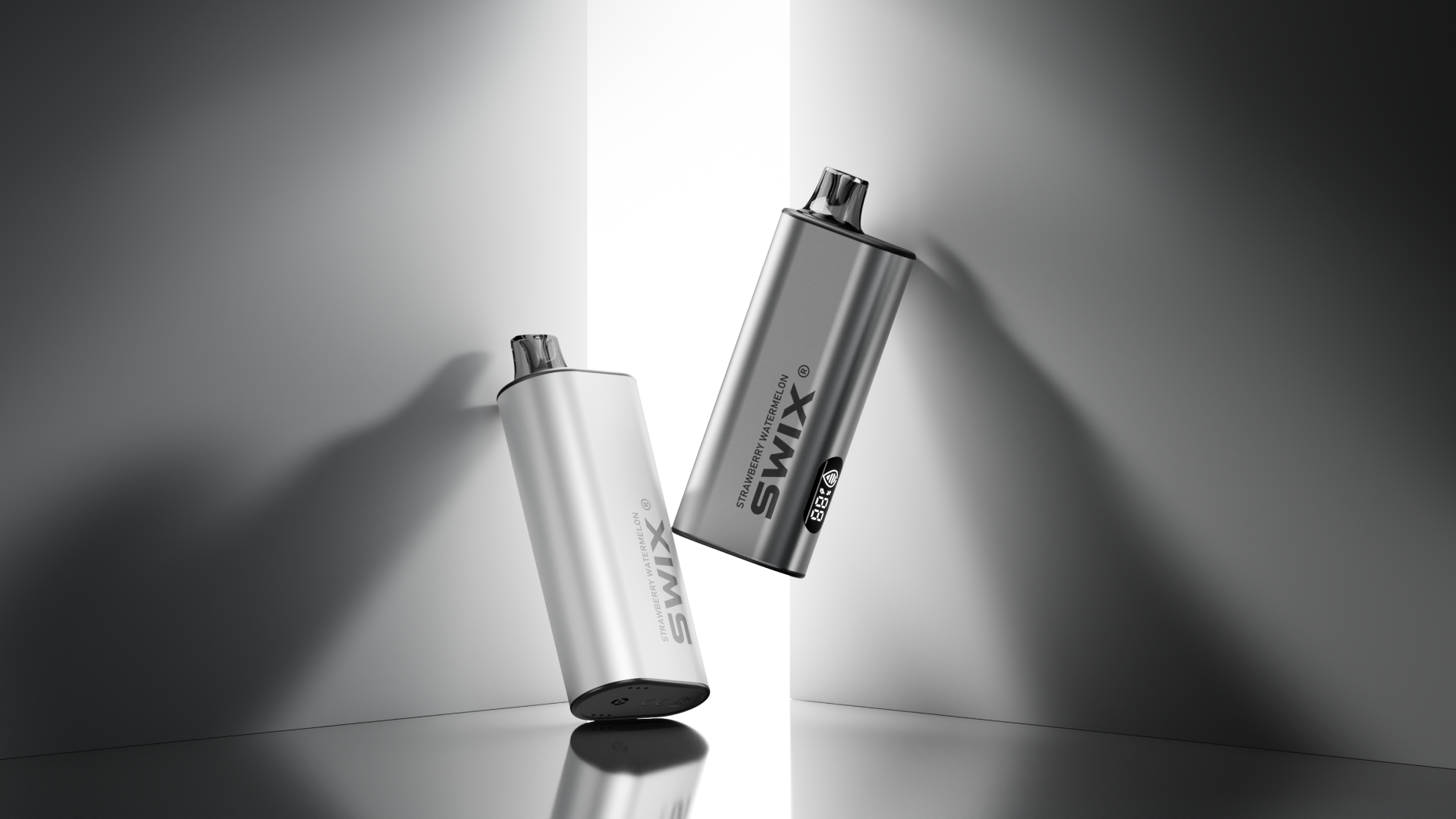SWIX Mate Silver view 3